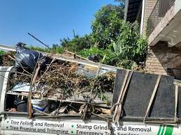 Best Hoarding Cleanup  in Mountain View, CA